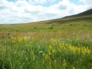 灯笼河草原文化旅游景区