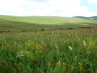 灯笼河草原文化旅游景区