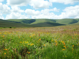 灯笼河草原文化旅游景区