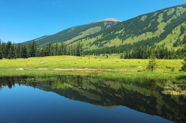 十一去喀纳斯天气_喀纳斯十一温度_喀纳斯