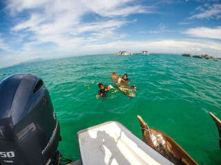 敦沙卡兰海洋公园