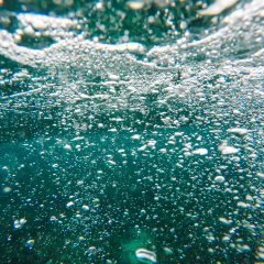 敦沙卡兰海洋公园的#旅图换旅费# #海岛游# #旅拍#