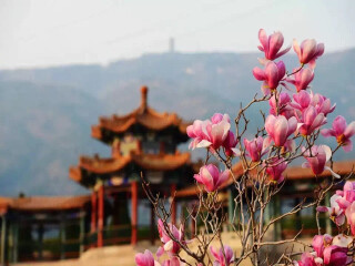 蟒山国家森林公园