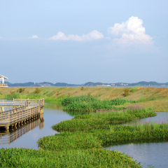 鄱阳湖国家湿地公园的#旅图换旅费#