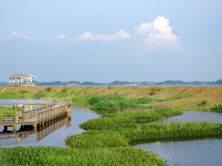鄱阳湖国家湿地公园