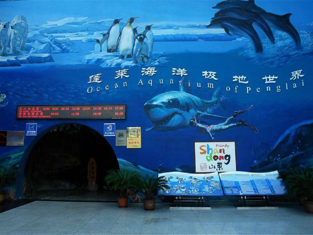  蓬莱海底世界-蓬莱阁大巴1日游>纯玩无购物,自然风景老少皆宜,烟台港