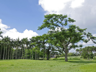 花东纵谷国家风景区