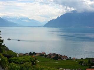 拉沃葡萄园梯田