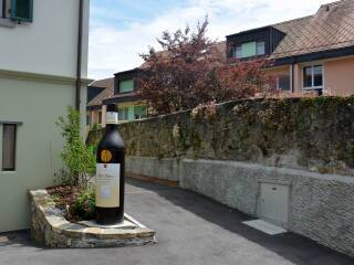 拉沃葡萄园梯田