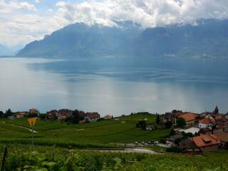 拉沃葡萄园梯田