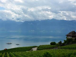 拉沃葡萄园梯田