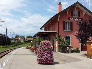 拉沃葡萄园梯田