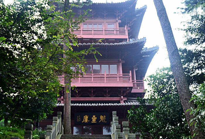 大玩家# 千岛湖新安江深度游 #真慧玩#玩透千岛湖新方法