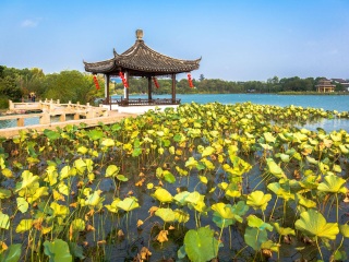 大连香洲旅游度假区