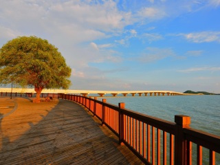 太湖湿地公园