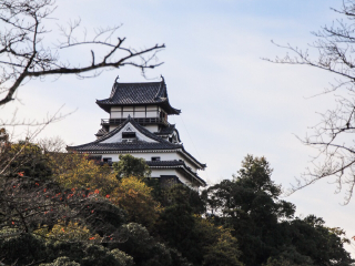 犬山城
