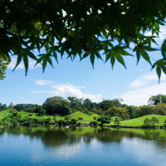 景点模块 