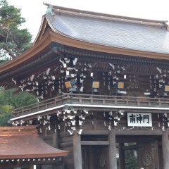 明治神宫的#旅图换旅费# #*魅春节# 景点模块