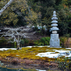 景点模块 