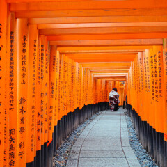 千本鸟居的#旅图换旅费#
