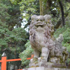 奈良神鹿公园的#旅图换旅费# #情人节摄影展# #最魅春节#