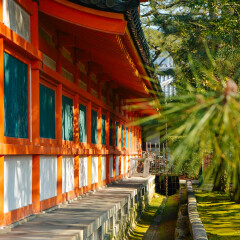 平安神宫的#旅图换旅费# #最魅春节# #一起来看雪#