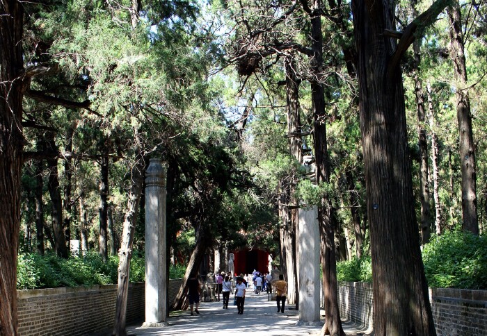 孔府孔庙孔林 www.tuniu.com