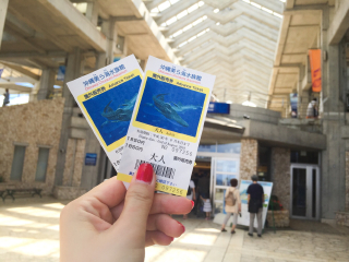 冲绳美丽海水族馆