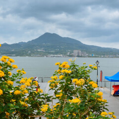 莫尔道嘎国家森林公园的#最魅春节# #旅图换旅费#