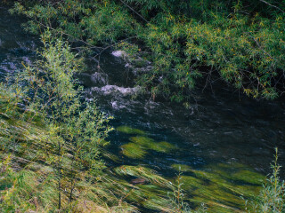 莫尔道嘎国家森林公园