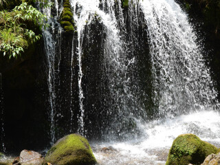 三峡人家风景区