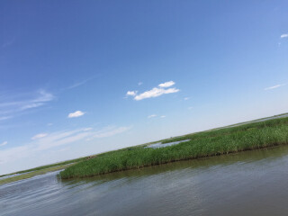 满洲里跨国湿地景区