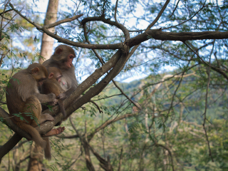 流溪河国家森林公园