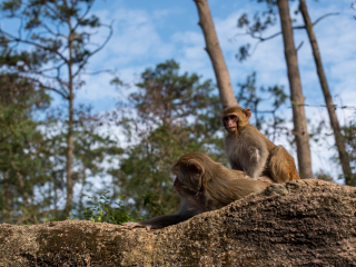 流溪河国家森林公园