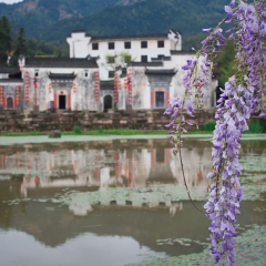 呈坎的#旅图换旅费# #古镇# #春景#