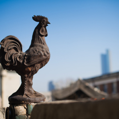 瓷房子的#旅图换旅费# #最魅春节#