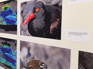 阿拉斯加州博物馆