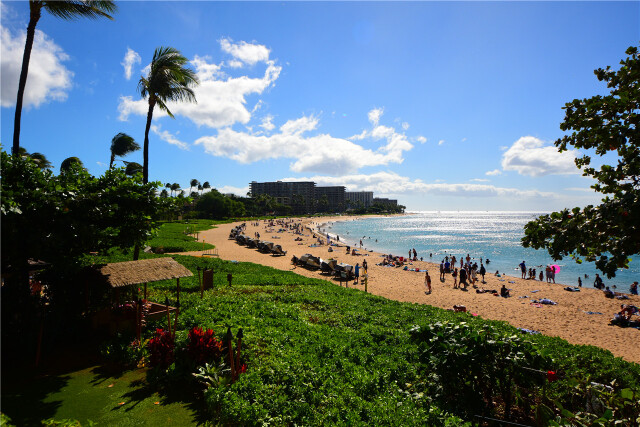 发现-海岛# 夏威夷,最爱你的五彩斑斓