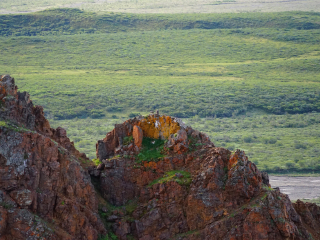丹那利国家公园