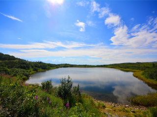 丹那利国家公园