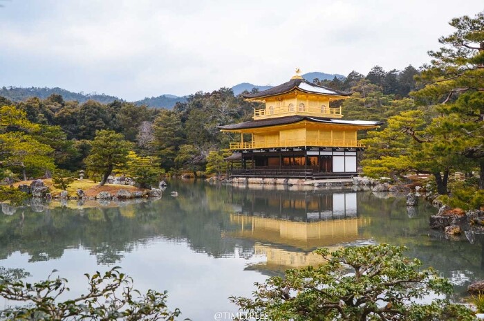 冬日霓虹国十日游,东京关西大作战【多图】_东京大神宫游记_途牛