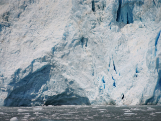 基奈峡湾国家公园