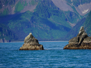 基奈峡湾国家公园