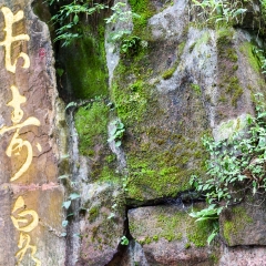 金鞭溪大峡谷的#旅图换旅费# #自然风光#