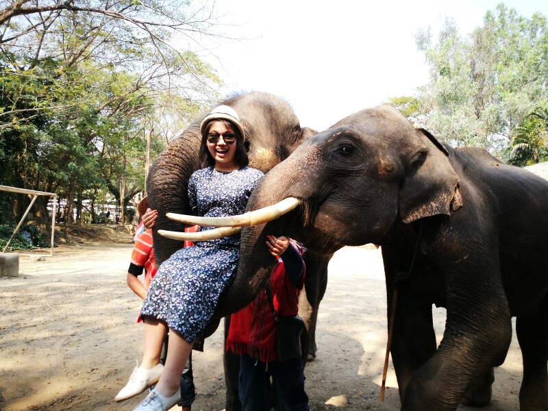 表演前夕用合照赚取外快的大象们.