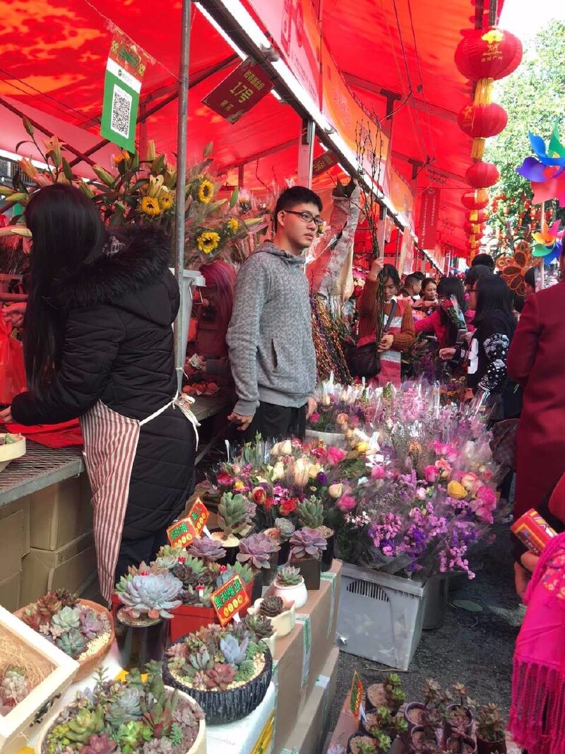 【首发】#过大年#花是一座城,广府年味浓——我在广州过大年