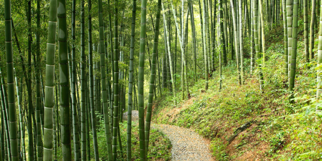 亮点图片