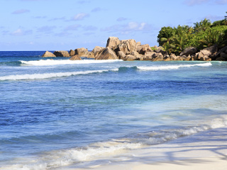 科科斯岛国家公园