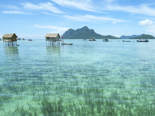 马布岛
