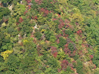 陕西天竺山国家森林公园